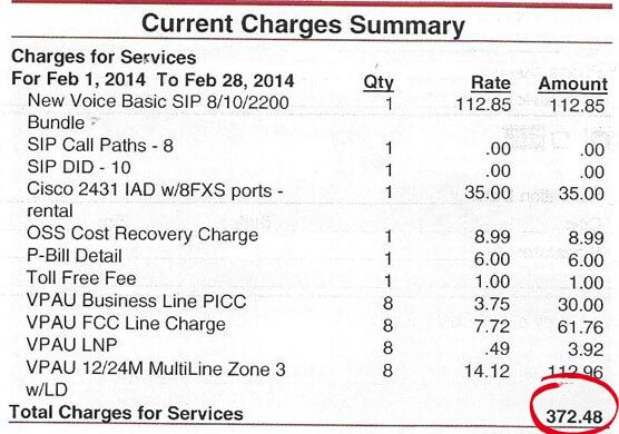 Business Phone Bill Particulars