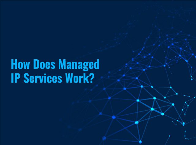 How Does Managed IP Services Work